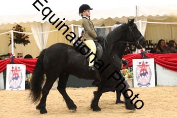 ERB-4747