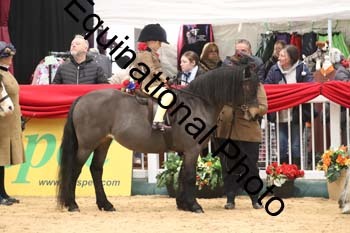 ERB-4771