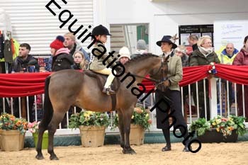 ERB-4777