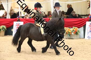 ERB-4788