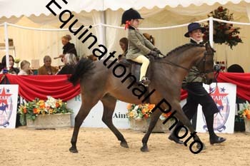 ERB-4797