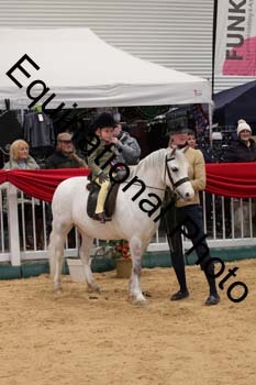 ERB-5036