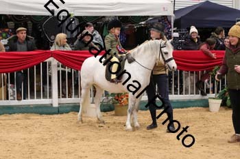 ERB-5039