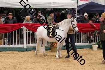ERB-5040