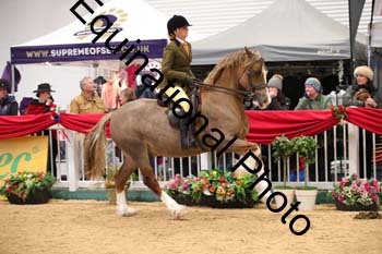 1_ERB-6157