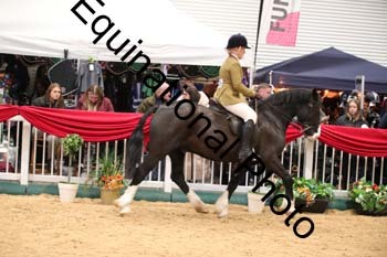 1_ERB-6170