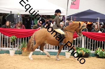 1_ERB-6171