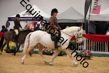 1_ERB-6175