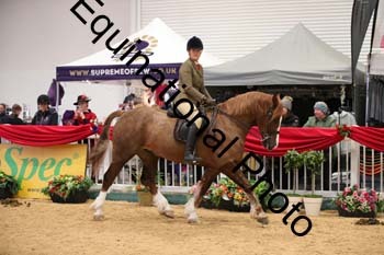 1_ERB-6183