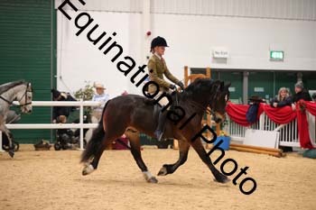 1_ERB-6189