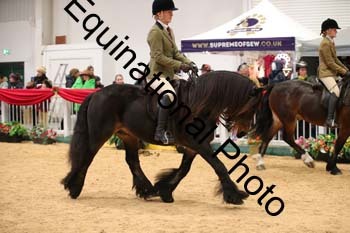1_ERB-6193