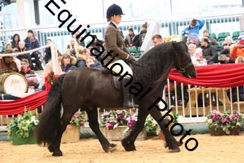 1_ERB-6228