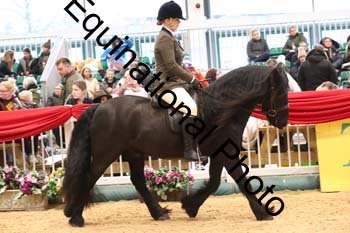1_ERB-6229