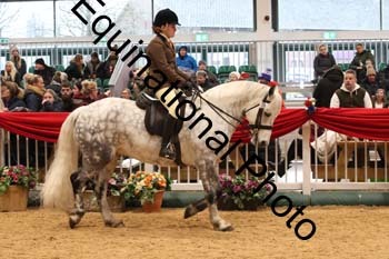 1_ERB-6233
