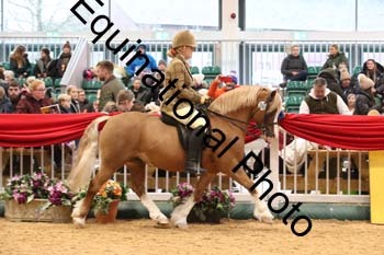 1_ERB-6246