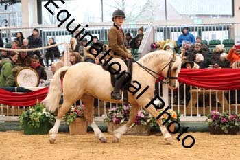 1_ERB-6263