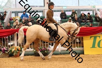 1_ERB-6264