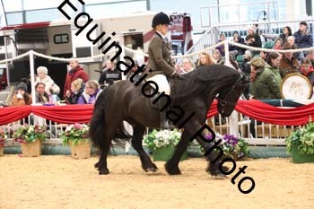 1_ERB-6265