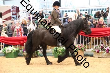 1_ERB-6266