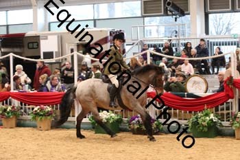 1_ERB-6287