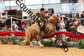 1_ERB-6289