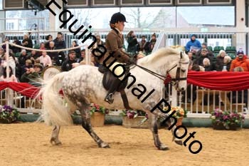 1_ERB-6295
