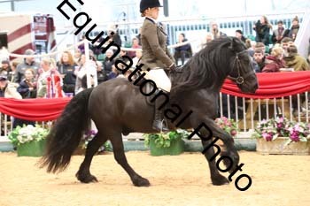 1_ERB-6298