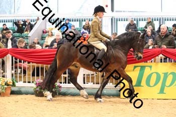 1_ERB-6305