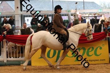 1_ERB-6334
