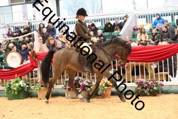 1_ERB-6335