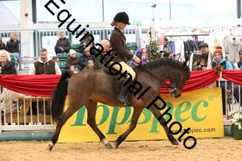 1_ERB-6337