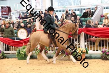1_ERB-6338