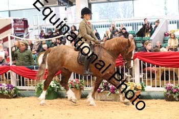 1_ERB-6341