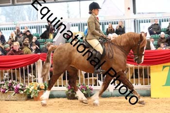 1_ERB-6342