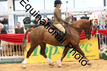 1_ERB-6343
