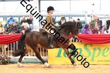 1_ERB-6347