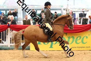1_ERB-6352
