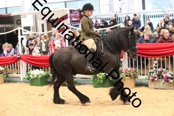 1_ERB-6353