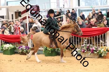 1_ERB-6360
