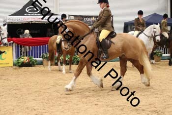 1_ERB-6366