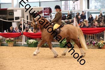 1_ERB-6369