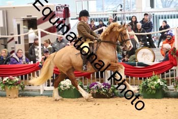 1_ERB-6372
