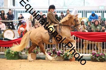 1_ERB-6373