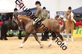 1_ERB-6385
