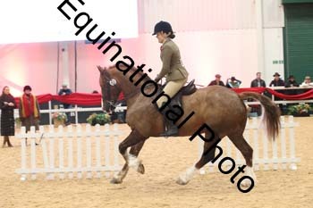1_ERB-6386