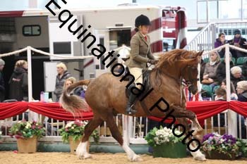 1_ERB-6390