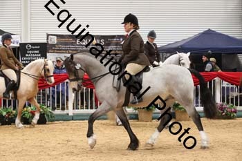 1_ERB-6393