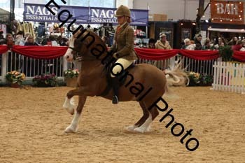 1_ERB-6403