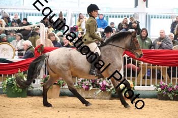 1_ERB-6412