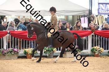 1_ERB-6418